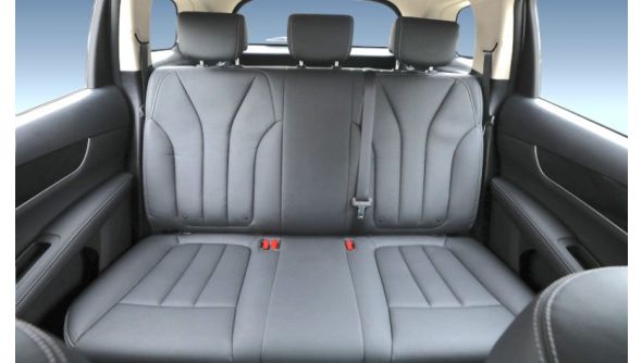 2022 BYD E6 Electric