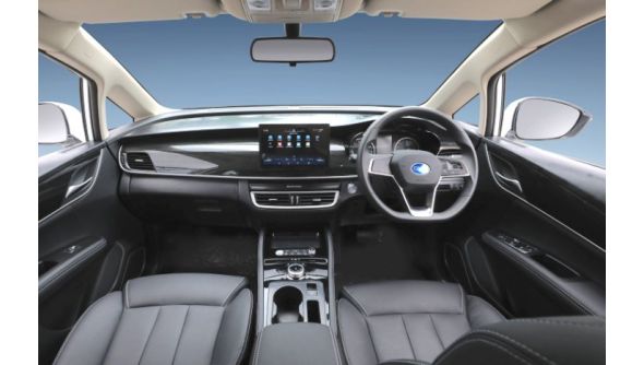 2022 BYD E6 Electric