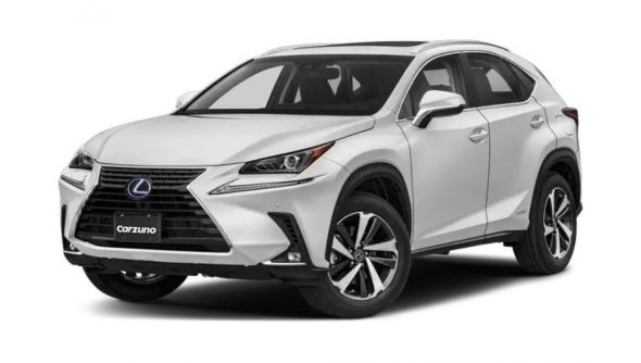 2020 Lexus NX300